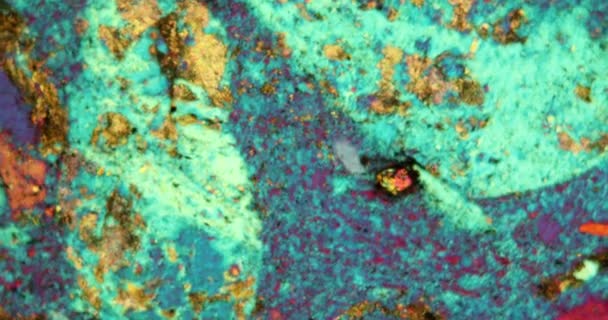 Πορφύριο Τμήμα Πετρωμάτων Κάτω Από Μικροσκόπιο Πολωμένο Φως — Αρχείο Βίντεο