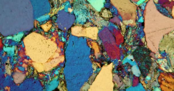 Ψαμμίτης Πέτρα Τμήμα Κάτω Από Μικροσκόπιο Πολωμένο Φως — Αρχείο Βίντεο