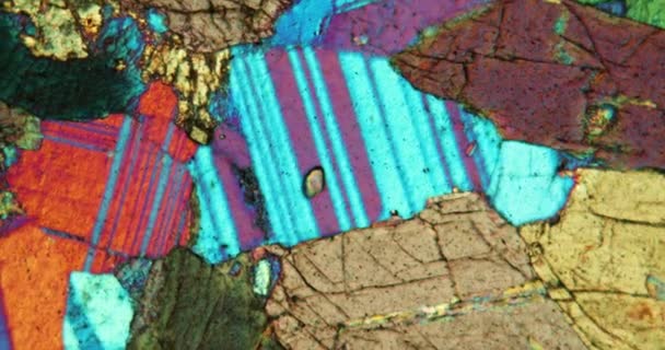 Sección Roca Anfibolita Bajo Microscopio Luz Polarizada — Vídeos de Stock