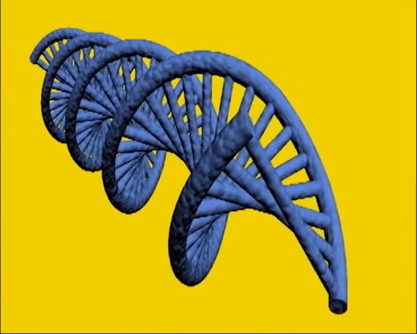 Doppelhelix Des Dna Strangs Mit Basenpaaren Rotiert Auf Dem Bildschirm — Stockvideo