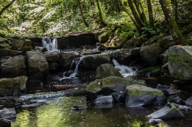 Siegerland 'da taşlarla dolu bir nehir yatağı.