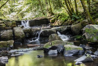 Siegerland 'da taşlarla dolu bir nehir yatağı.
