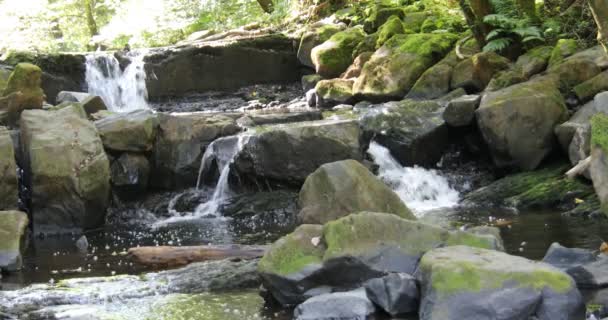 Flodbana Fylld Med Klippor Med Vattenfall Siegerland — Stockvideo