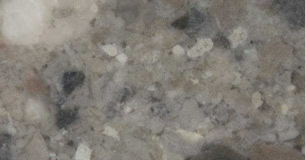 Superficie Piedra Caliza Pulida Con Grano — Vídeo de stock