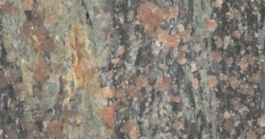 cilalanmış Eclogite taş yüzeyi tahılla