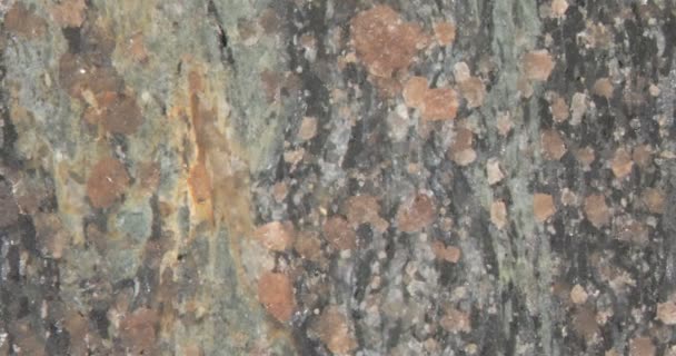 Superficie Pietra Eclogite Lucidata Con Grano — Video Stock