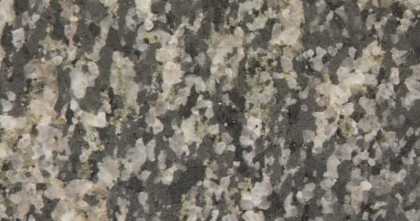 Polished Amphibolite Stone Surface Grain — Stock Video