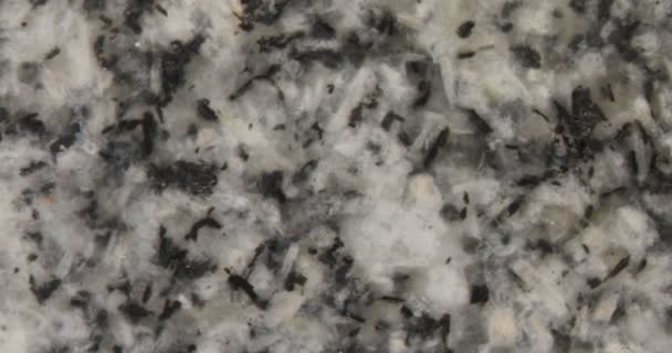 Polished Granite Stone Surface Grain — Stock Video