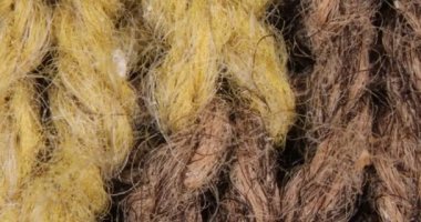 Doku lifleri mikroskop altında büyütülmüş.