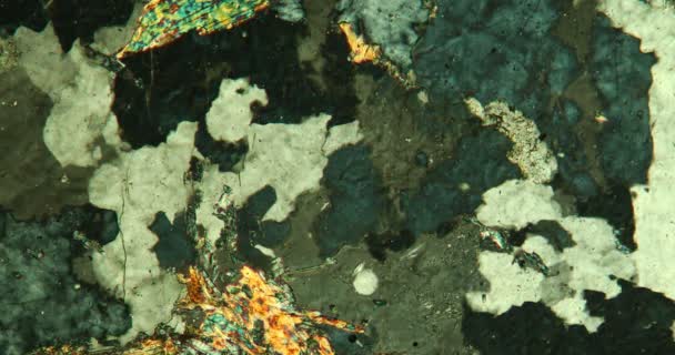 Gneiss Sottile Sezione Pietra Microscopio Luce Polarizzata — Video Stock