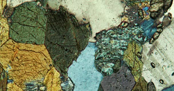 Αμπιβολίτης Βραχώδες Τμήμα Κάτω Από Μικροσκόπιο Πολωμένο Φως — Αρχείο Βίντεο