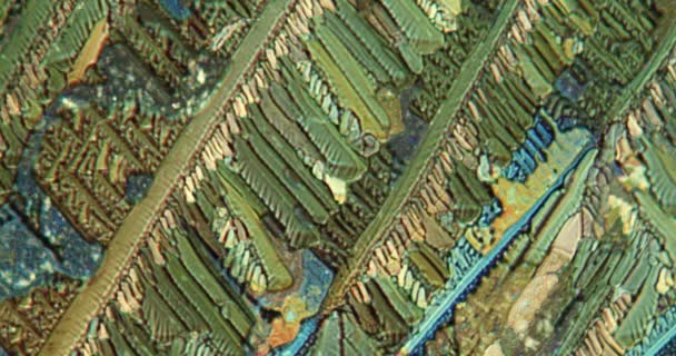 Πολύχρωμοι Κρύσταλλοι Ουρίας Πολωμένο Φως Περιστρέφονται Στο Μικροσκόπιο — Αρχείο Βίντεο