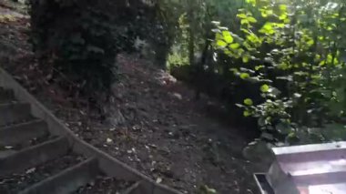 Bahçe bahçesinde, yeşil bitkilerin bakımı için.