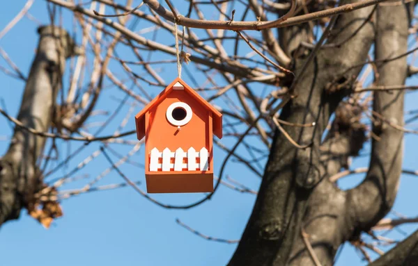 Oranje Houten Vogelhuisje Een Boom Het Park — Stockfoto