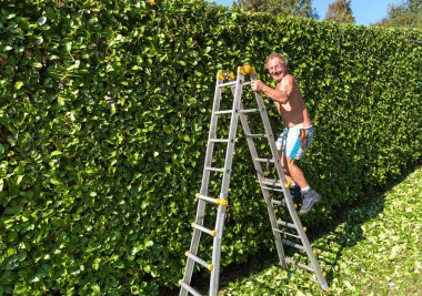 Bahçedeki merdiveninde mutlu gülümseyen bahçıvan.