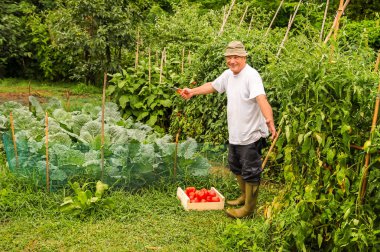 Mutlu komuta sizde ile taze domates bahçede aldı..