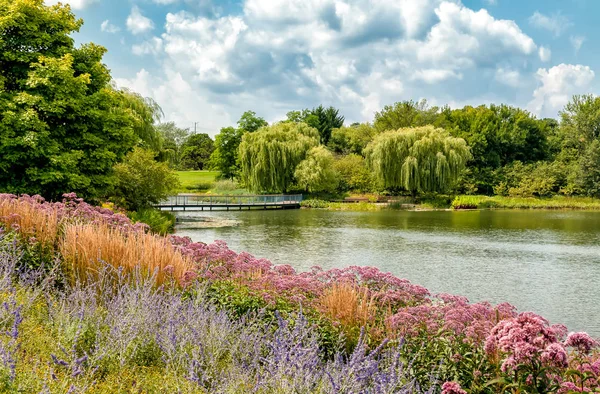 Summer Landscape Chicago Botanic Garden Glencoe Illinois Usa — Stock Photo, Image