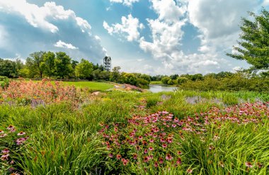 Evening Island with Carillon Bell Tower at Chicago Botanic Garden, Glencoe, Illinois, USA clipart