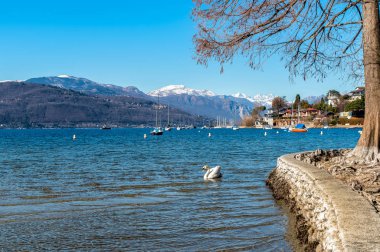Manzara Lake Maggiore kış günü, Monvalle, il Varese, İtalya