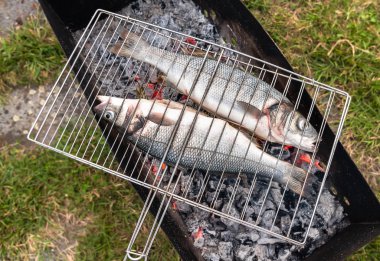 Çiğ levrek balık ocakta kömür ızgara hazır. 