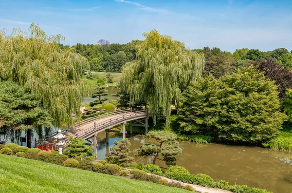 Japanese Garden Bridge Chicago Botanic Garden Illinois Usa — Stock Photo, Image