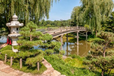 Chicago Botanik Bahçesi'ndeki Japon Bahçe Köprüsü, Illinois, Abd
