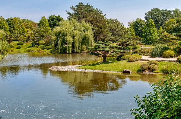 Summer Landscape on sunny day of Japanese Island in Chicago Botanic Garden, Glencoe, USA