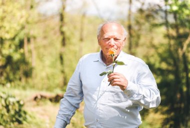 Yaşlı adam bahçedeki gül kokusunu kokluyor..