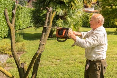 Bahçede elektrikli testere ile ağaç kesme kıdemli adam.