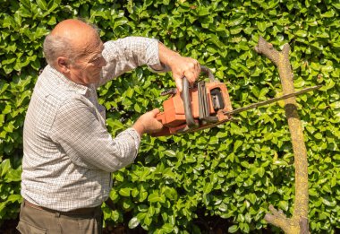 Bahçede elektrikli testere ile ağaç kesme kıdemli adam.