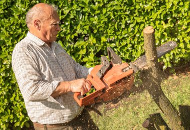 Bahçede elektrikli testere ile ağaç kesme kıdemli adam.