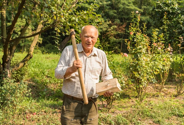 Portrét Staršího Muže Sekyrou Rameni Polovinou Dřeva Ruce Zahradě — Stock fotografie