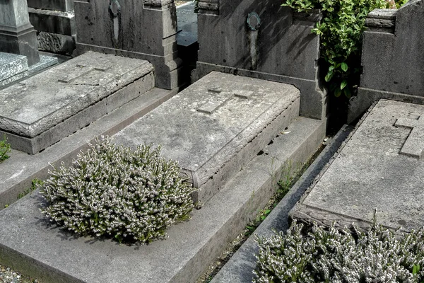 Katolik Mezarlığı Mezar Taşları Mezarları — Stok fotoğraf