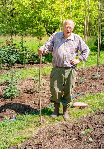 Senior gardener working in the garden. Spring garden concept.