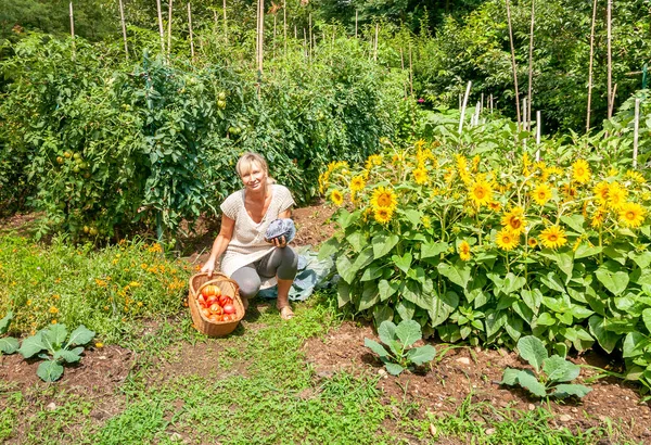 Mujer Joven Huerto Con Verduras Cosechadas Soleado Día Verano — Foto de Stock