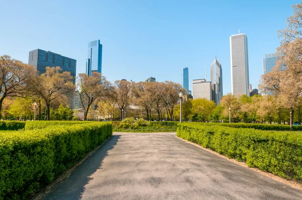 Jardines Chicago Grant Park Con Rascacielos Fondo Illinois — Foto de Stock