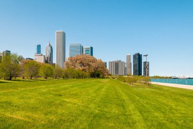 Chicago Grant Park Bahçeleri, arka planda gökdelenler, Illinois, ABD