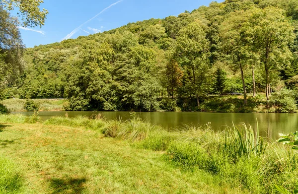 Paisaje Del Lago Brinzio Valey Rasa Verano Provincia Varese Lombardía — Foto de Stock