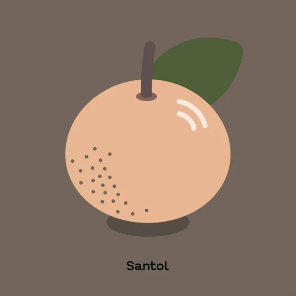 Santol 或棉花果在褐色背景下的例证用词 — 图库矢量图片