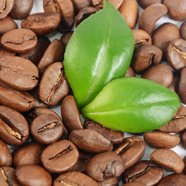 Grãos Café Como Pano Fundo — Fotografia de Stock