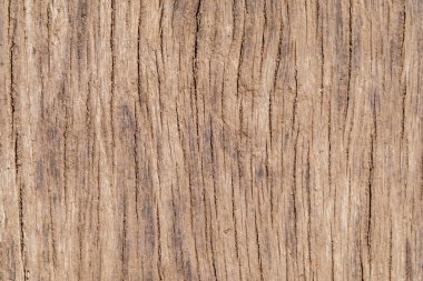 ağartılmış kirli meşe arka plan