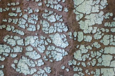 Kırık açık mavi boya ile arka plan