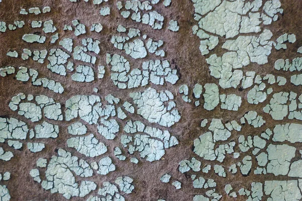 Kırık açık mavi boya ile arka plan
