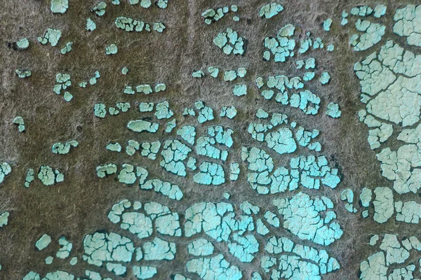 Çatlak açık mavi boya ile doku