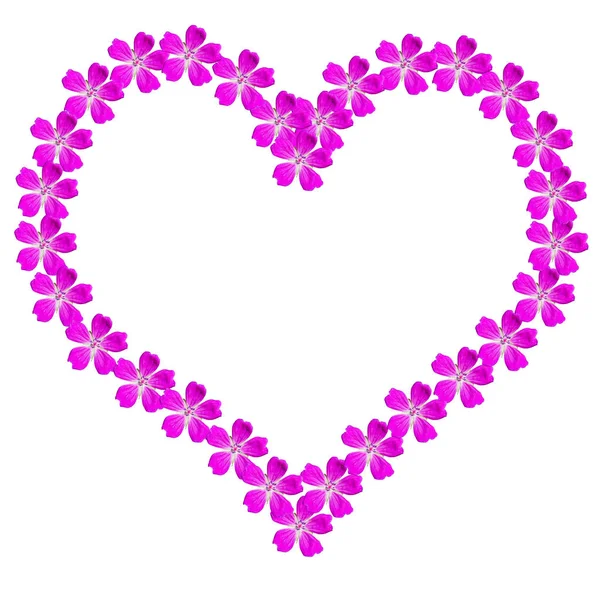 Πλαίσιο καρδιά από ροζ λουλούδια σε λευκό φόντο με ένα χώρο αντιγραφής. — Φωτογραφία Αρχείου