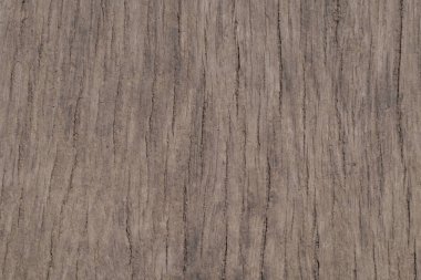 kirli meşe tahta doku. kirli meşe doku