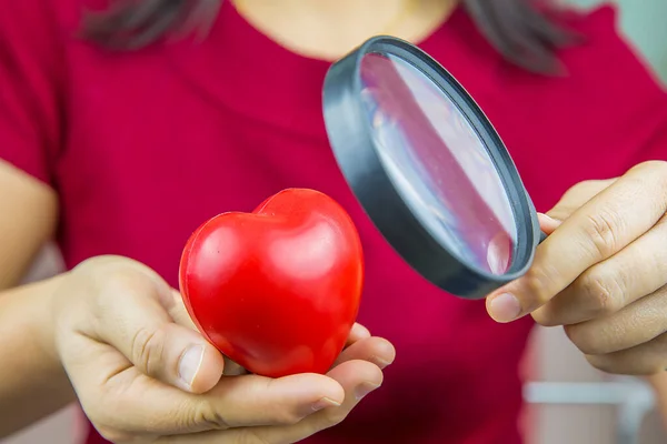 A red heart shape in a hand of women is using Magnifying glass to checking a heart The concept of a physical examination or heart health care and health insurance.