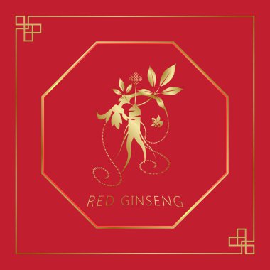 Kore ya da Çin kırmızı ginsengi kökü, Kore yetişmiş ginsengi etiketi. Kore kozmetik ürünleri için Ginseng sembolü, Çin ilacı, gıda ürünleri, çay paketleri. Vektör illüstrasyonu
