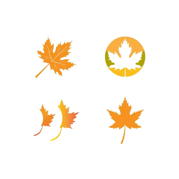 Oak Leaf Logo Template Vector Illustration — 스톡 벡터