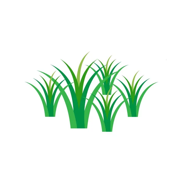 Grass Logó Vektor Sablon Illusztráció — Stock Vector